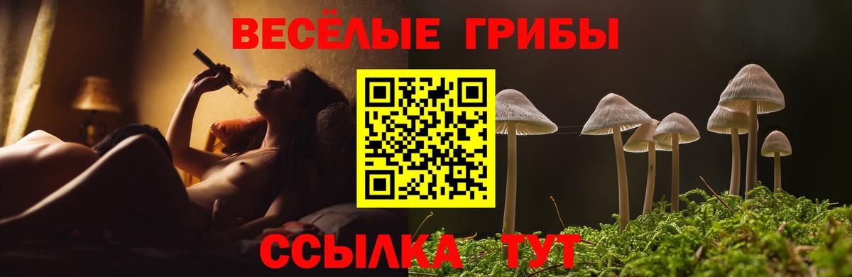 Добрянка  Псилоцибиновые грибы Magic Shrooms  Вход с VPN 